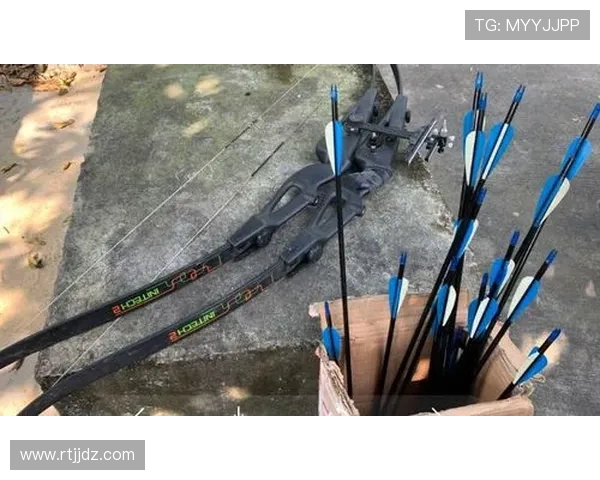 南京攀岩队战术对比深度解析与未来发展趋势探讨