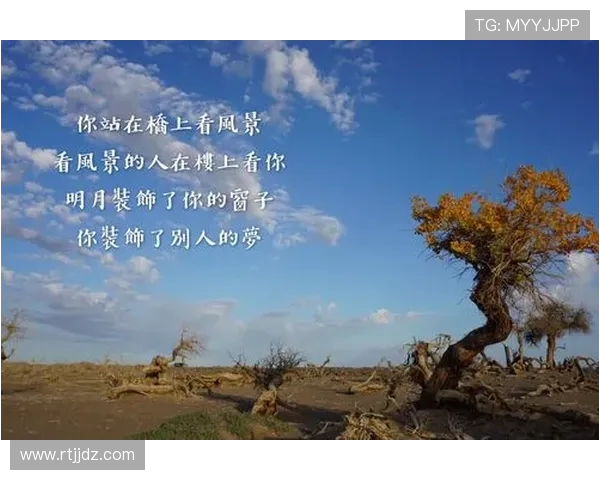 攀岩与人生的交汇点:陈静的深度对话与心路历程探索 攀岩与人生的交汇点:陈静的深度对话与心路历程探索