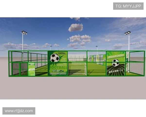 杨娜独家解析足球技巧与战术分享助你提升球场表现