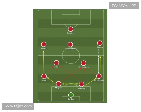 上海攀岩队区域防守体系的战术解析与实战应用探讨